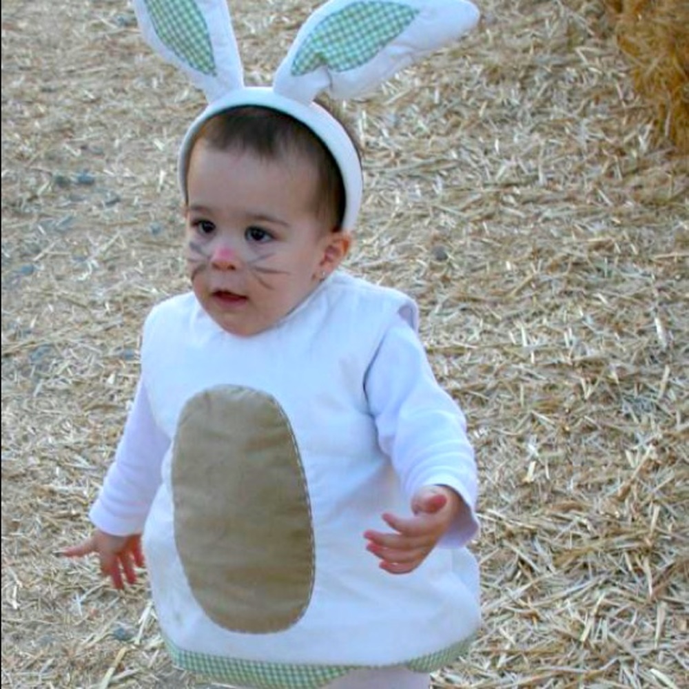 Pottery Barn Bunny Costume 12-24